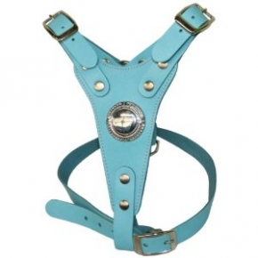 Staffordshire Bull Terrier Harness 31" Max Blue British By Design